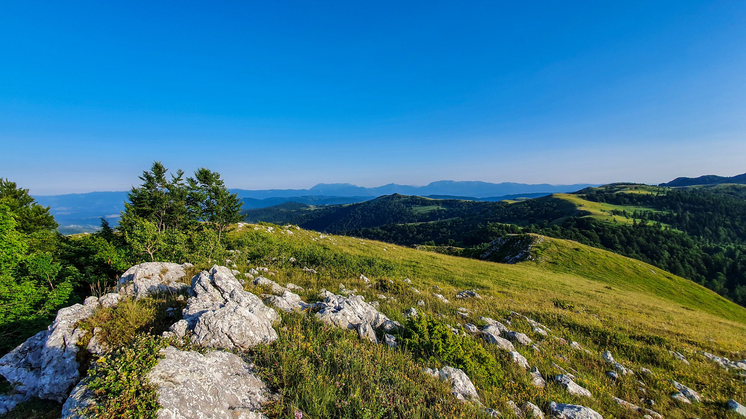 Mrki medved_Područje sprovođenja projekta