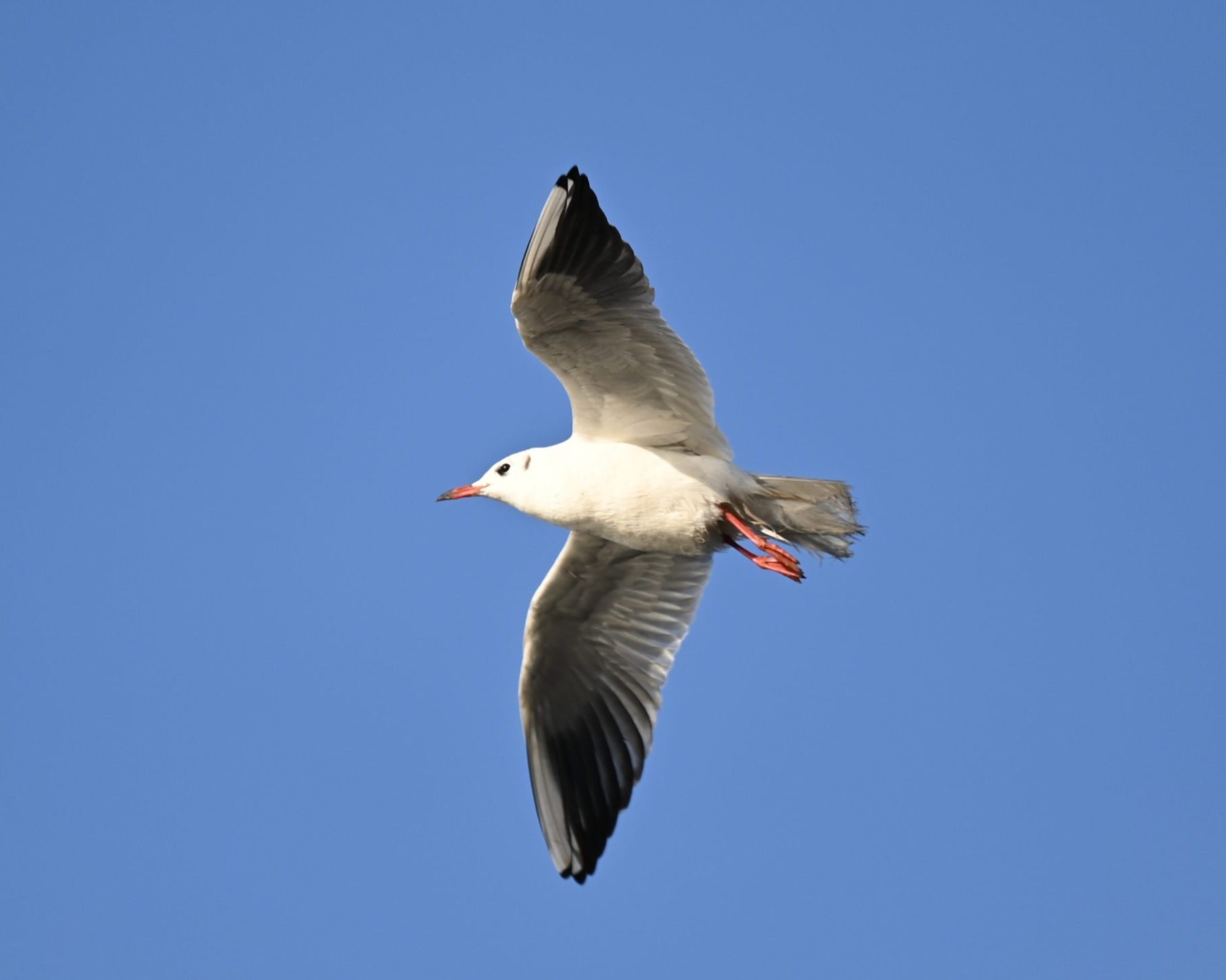 IMG_20261003_145856
